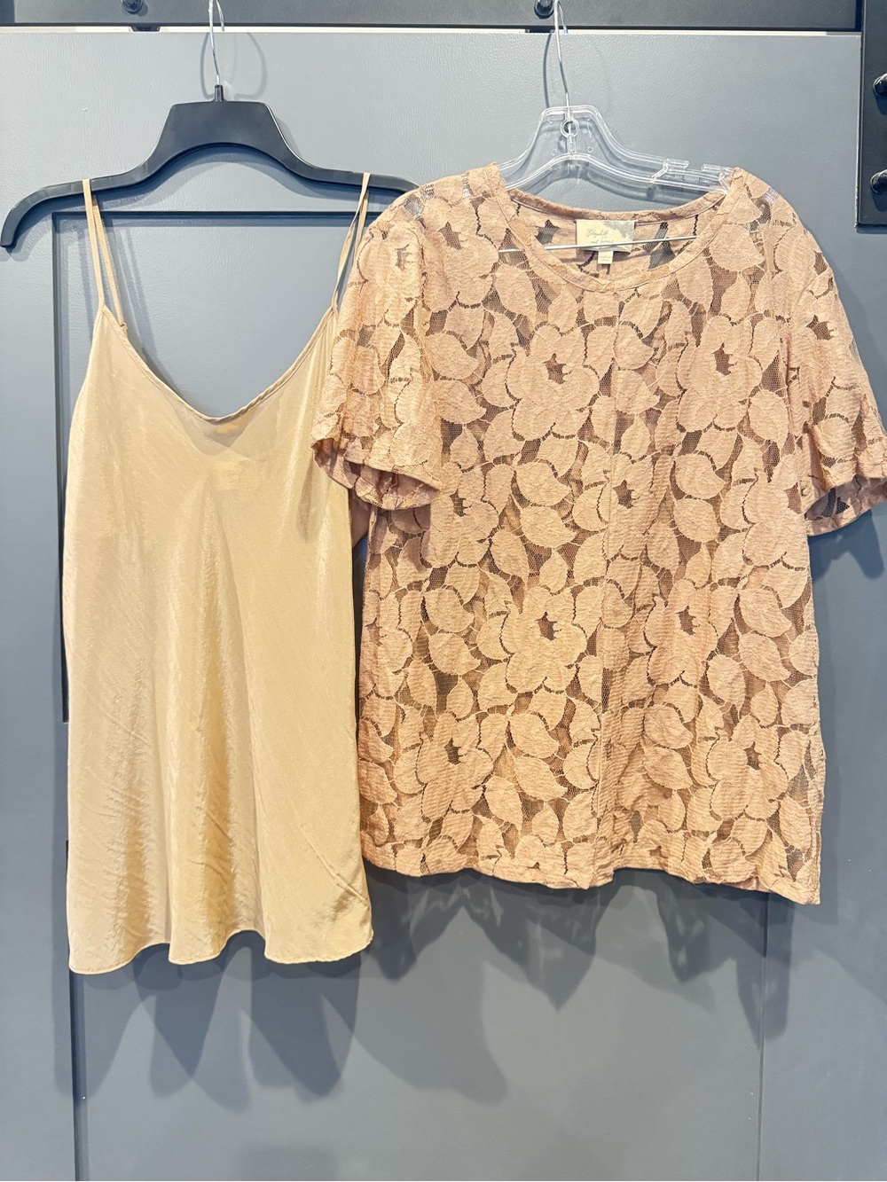 Elizabeth and James sheer floral blouse/tank